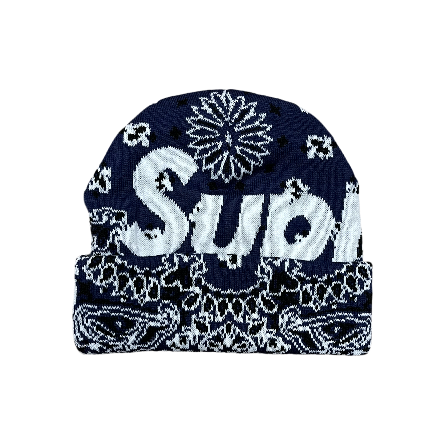Supreme Big Logo Beanie FW24