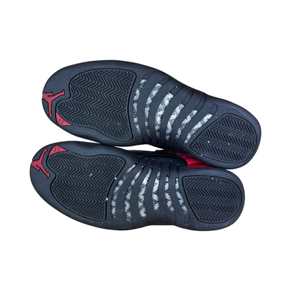 Used Jordan 12 Reverse Flu - Sz 9.5