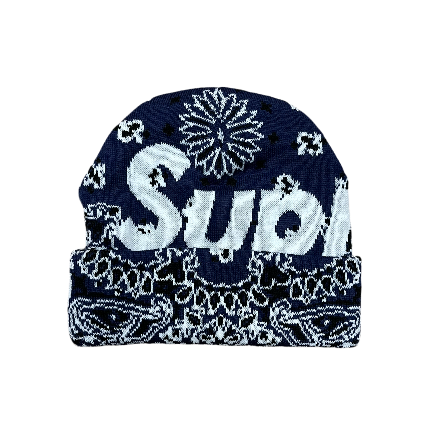 Supreme Big Logo Beanie FW24