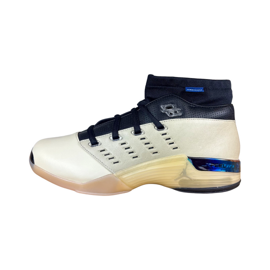 Jordan 17 Low Infinite Archives - Sz 10